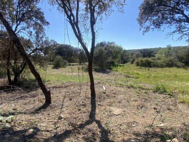 Terreno en venta en San Román De Los Montes, Castilla-La Mancha
