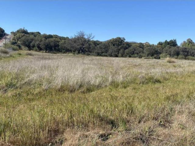 Terreno en venta en San Román De Los Montes, Castilla-La Mancha