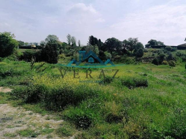 Terreno en venta en San Román De Los Montes, Castilla-La Mancha