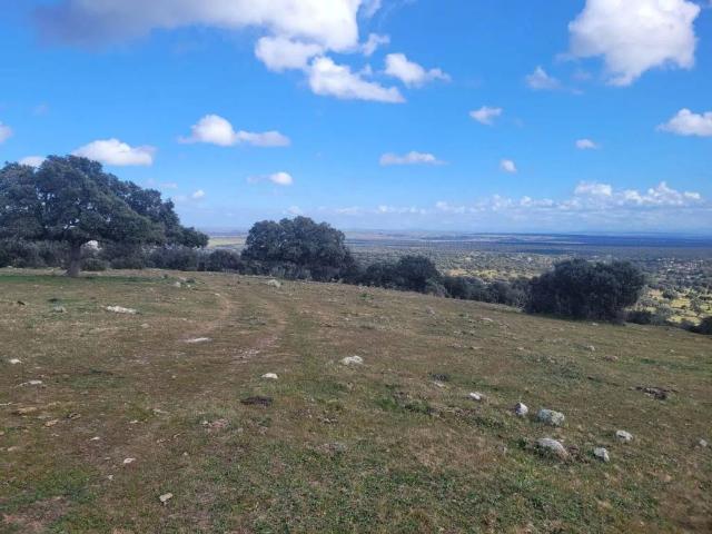 Terreno en venta en San Román De Los Montes