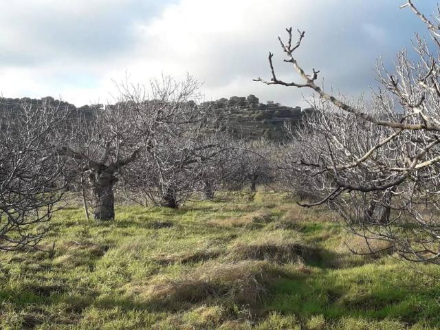 Terreno en venta en San Román De Los Montes
