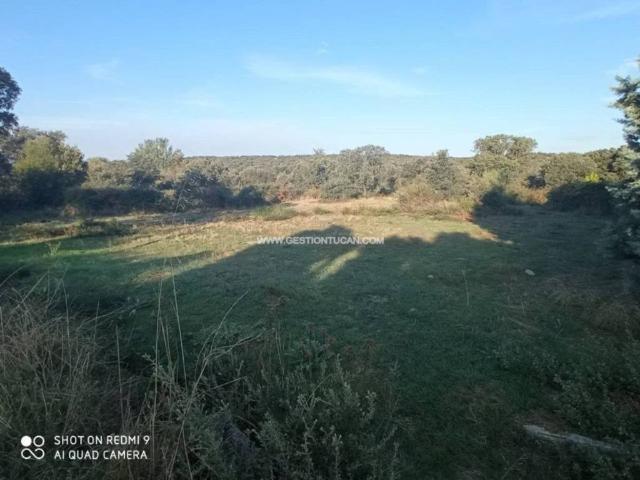 Terreno en venta en San Román De Los Montes, Castilla-La Mancha