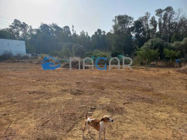 Terreno en venta en Campo de Gibraltar, Andalucía
