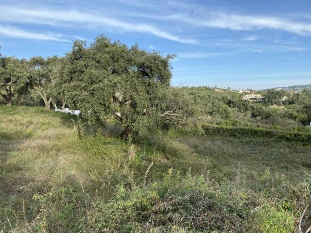 Terreno en venta en Campo de Gibraltar, Andalucía