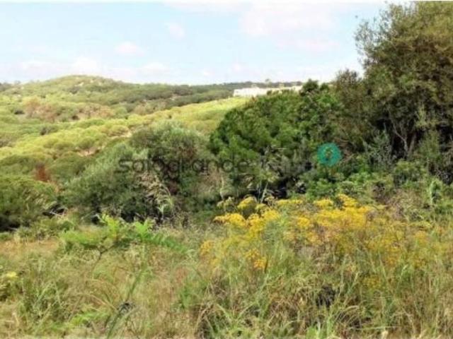 Terreno en venta en Campo de Gibraltar, Andalucía