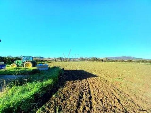 Terreno en venta en Campo de Gibraltar, Andalucía
