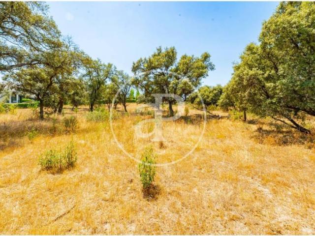 Terreno en venta en San Sebastián De Los Reyes, Madrid