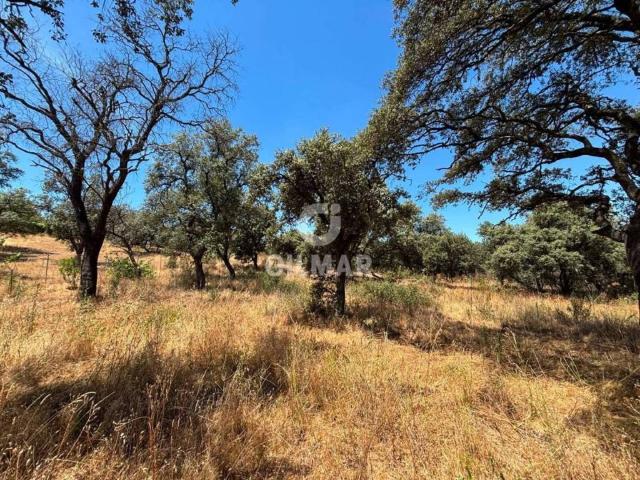 Terreno en venta en San Sebastián De Los Reyes, Madrid