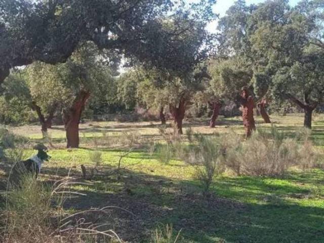 Terreno en venta en Tierra de Badajoz, Extremadura