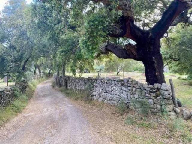 Terreno en venta en Tierra de Badajoz, Extremadura