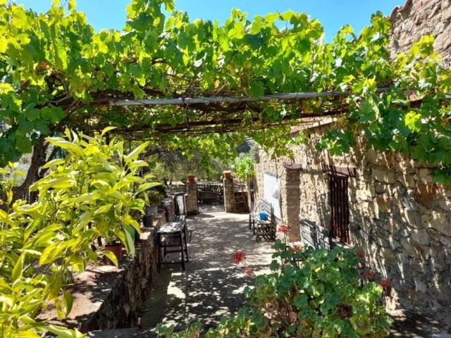 Terreno en venta en Tierra de Badajoz, Extremadura