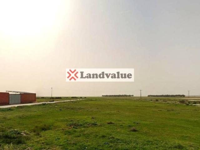Terreno en venta en San Vicente De Arévalo, Castilla y León