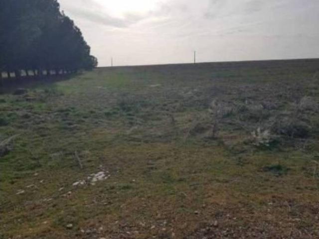 Terreno en venta en San Vicente Del Palacio, Castilla y León