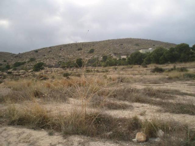 Terreno en venta en Sant Vicent del Raspeig / San Vicente del Raspeig, l'Alacantí