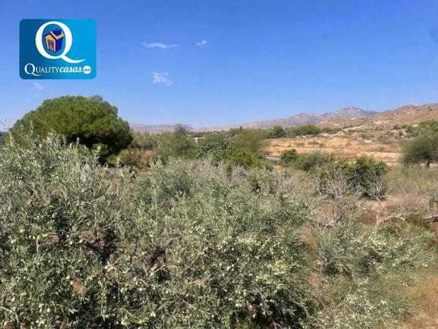 Terreno en venta en Sant Vicent del Raspeig / San Vicente del Raspeig, Alacant / Alicante