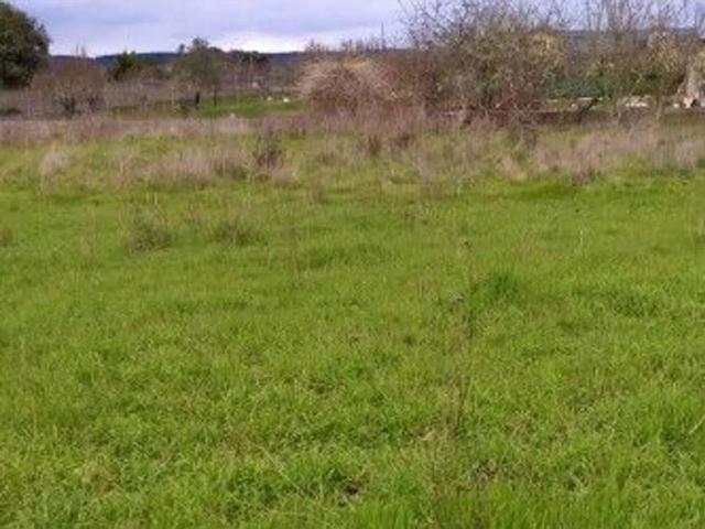 Terreno en venta en Sancedo