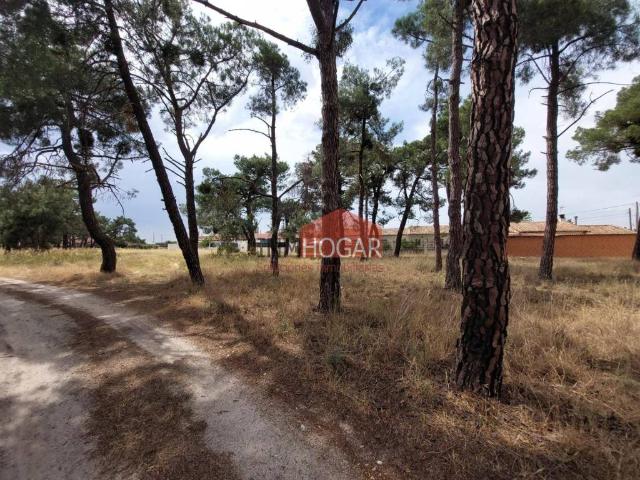 Terreno en venta en Sanchidrián, Castilla y León
