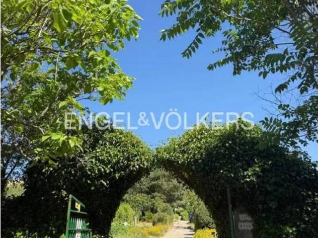 Terreno en venta en Sanchorreja, Castilla y León