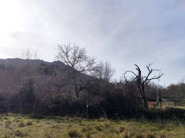 Terreno en venta en Sanchotello, Castilla y León