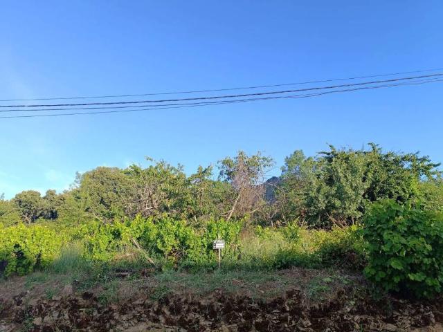 Terreno en venta en Sanchotello, Castilla y León