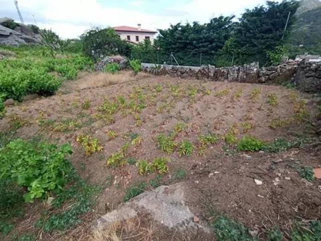 Terreno en venta en Sanchotello, Castilla y León