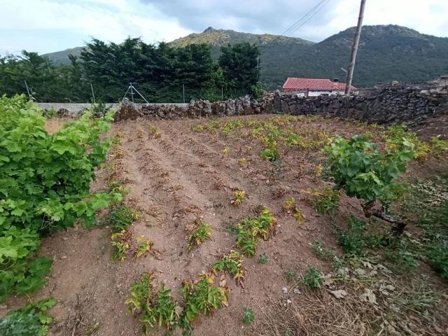 Terreno en venta en Sanchotello Terreno en venta en Sanchotello
