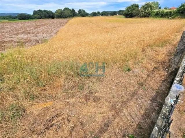 Terreno en venta en A Limia, Galicia
