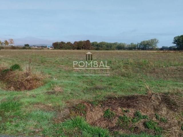 Terreno en venta en A Limia, Galicia
