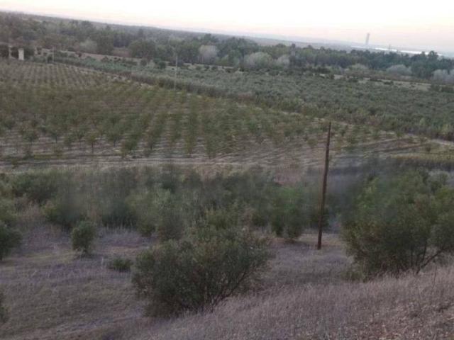 Terreno en venta en Sanlúcar La Mayor, Andalucía