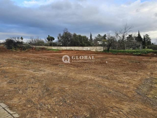 Terreno en venta en Sanlúcar La Mayor, Andalucía