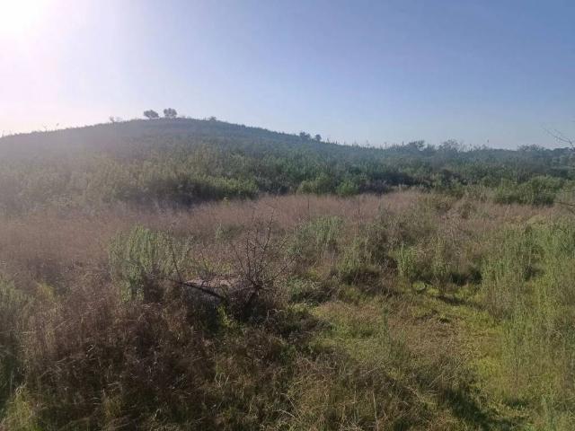 Terreno en venta en Sanlúcar La Mayor, Andalucía