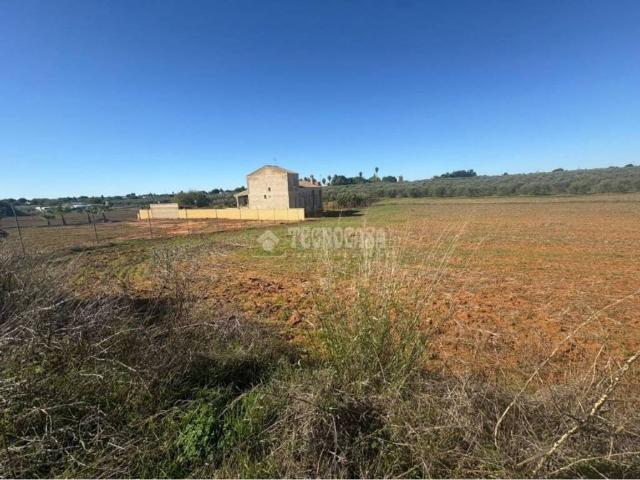 Terreno en venta en Sanlúcar La Mayor, Andalucía