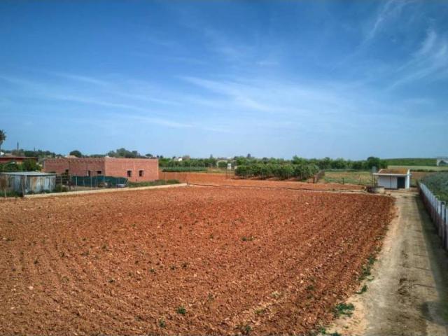 Terreno en venta en Sanlúcar La Mayor, Andalucía