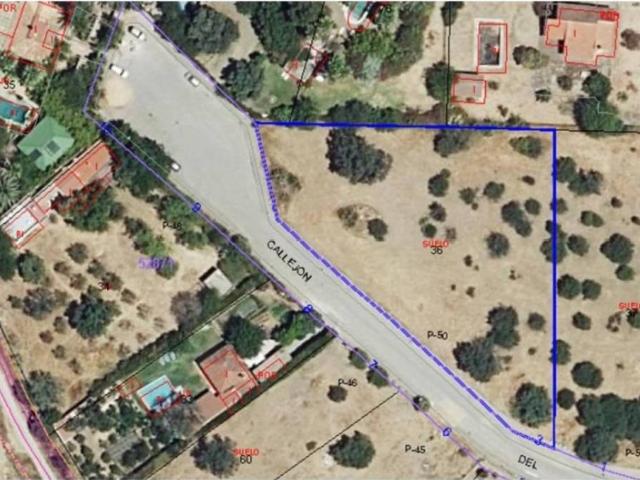 Terreno en venta en Sanlúcar La Mayor, Sevilla