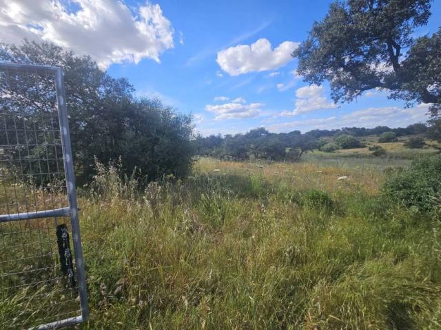 Terreno en venta en Sanlúcar La Mayor, Andalucía