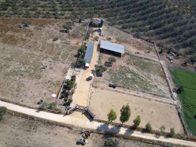 Terreno en venta en Sanlúcar La Mayor, Andalucía