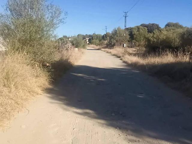 Terreno en venta en Sanlúcar La Mayor, Andalucía