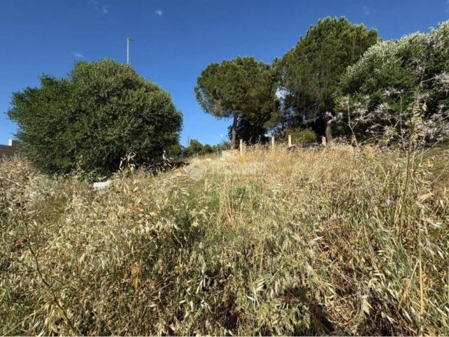 Terreno en venta en Sanlúcar La Mayor, Andalucía