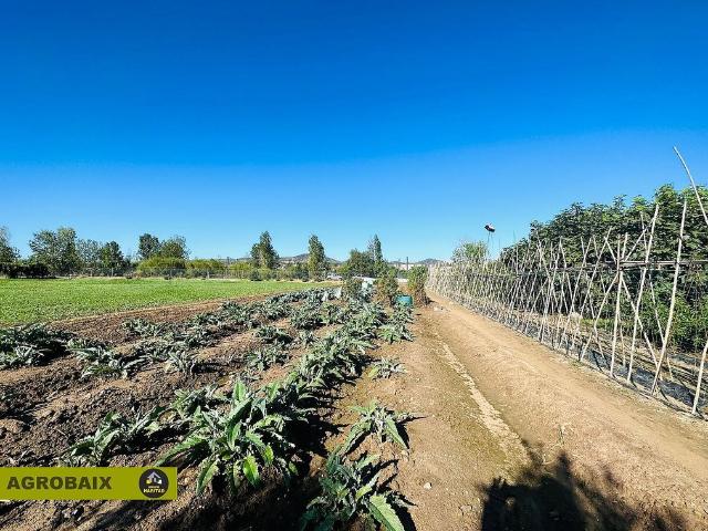 Terreno en venta en Sant Boi De Llobregat Terreno en venta en Sant Boi De Llobregat