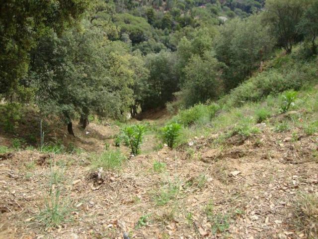 Terreno en venta en Maresme, Catalunya