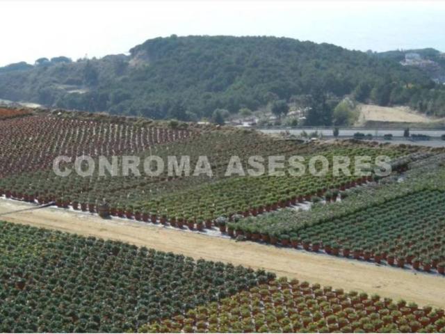 Terreno en venta en Maresme, Catalunya