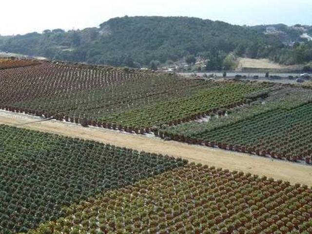 Terreno en venta en Maresme, Catalunya