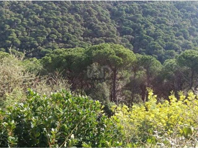 Terreno en venta en Maresme, Catalunya