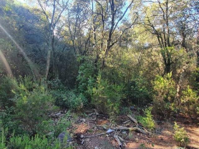 Terreno en venta en Vallès Oriental, Catalunya