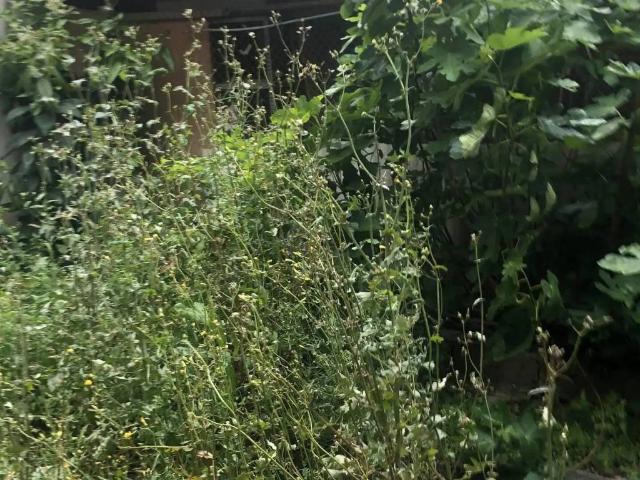 Terreno en venta en Illes Belles, Vallès Oriental