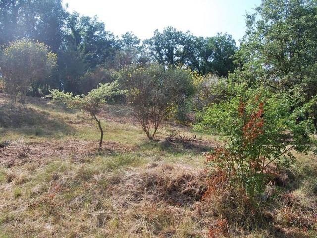 Terreno en venta en Vallès Oriental, Catalunya