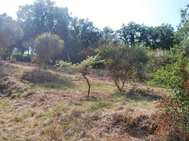 Terreno en venta en Vallès Oriental, Catalunya