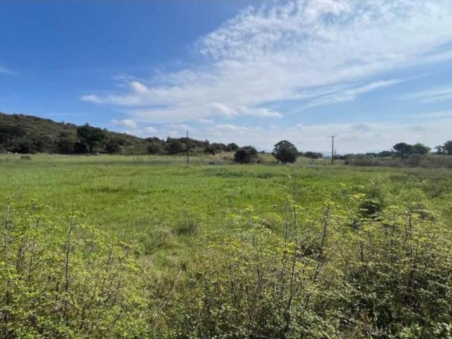Terreno en venta en Alt Empordà, Catalunya