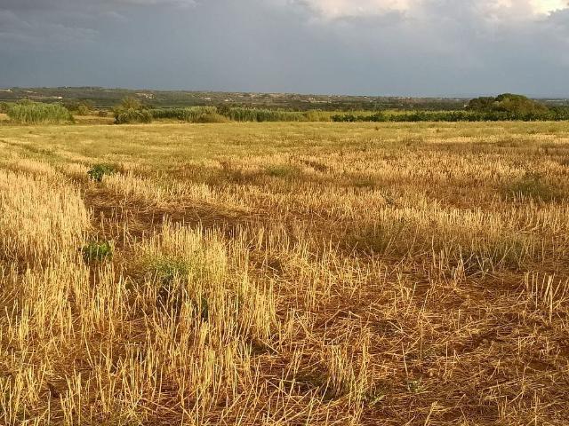 Terreno en venta en Alt Empordà, Catalunya