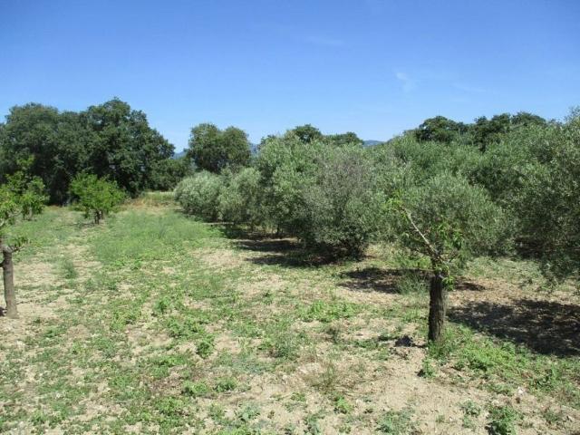 Terreno en venta en Alt Empordà, Catalunya